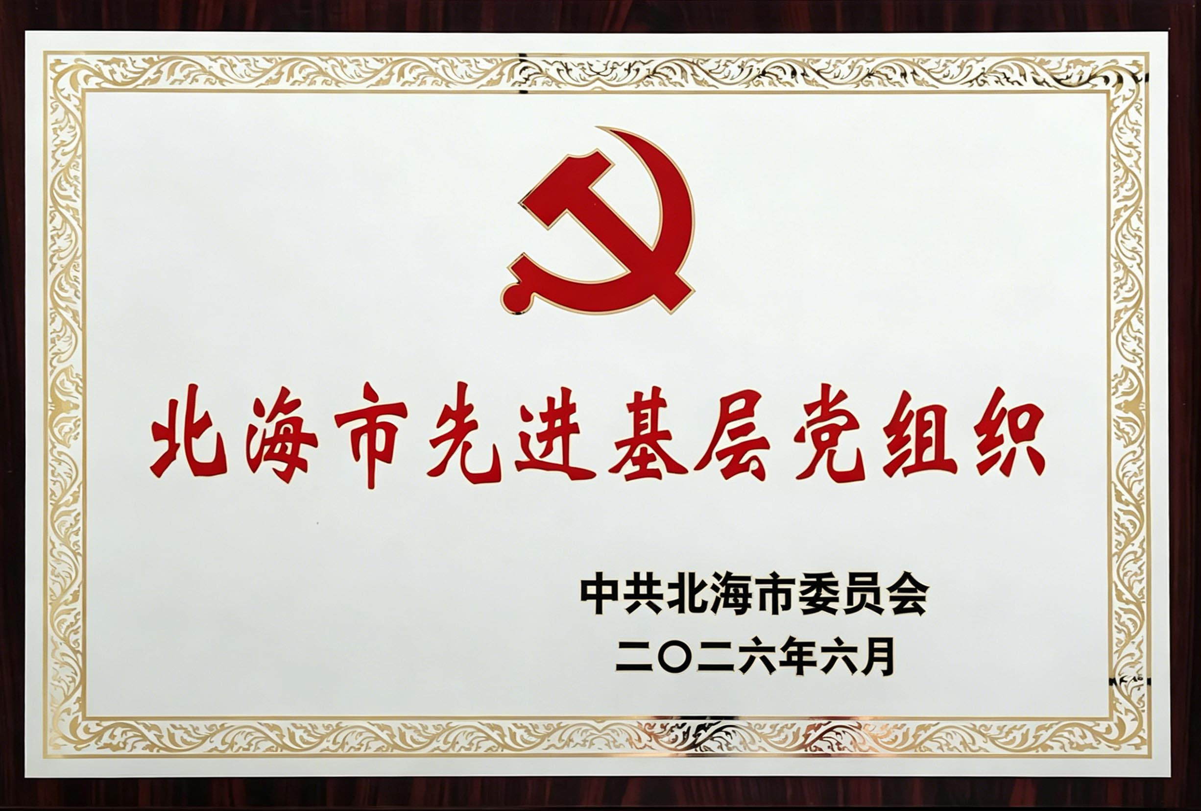 2026.6武威市先进基层党组织 (2).jpg