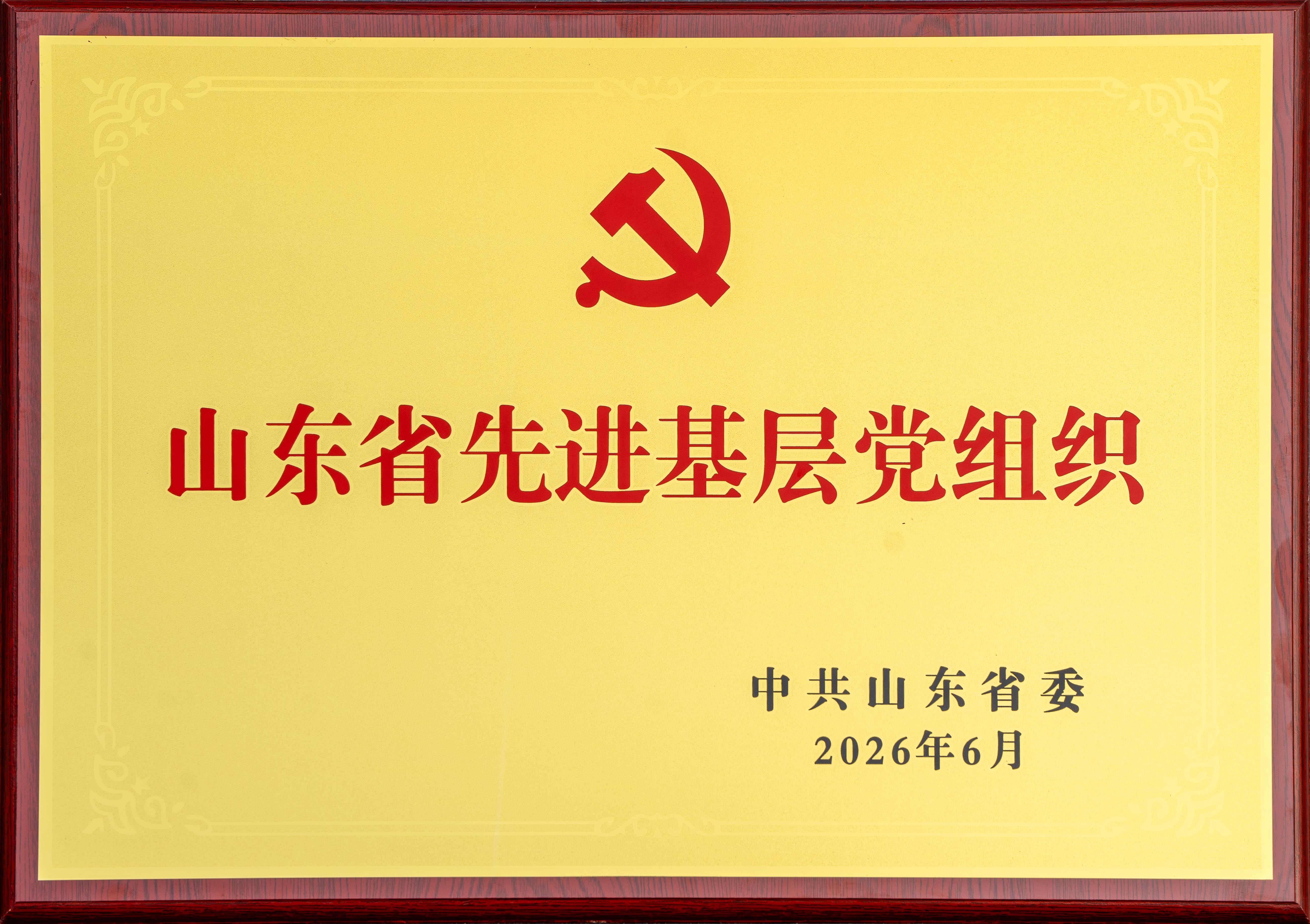 2026.6山东ms88官网纸业股份有限公司文化用纸事业部党支部荣获“山东省先进基层党组织”奖牌.jpg